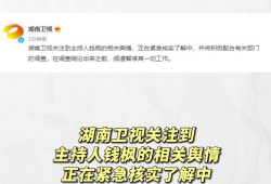 娱乐圈吃瓜爆料文案模版,明星背后的那些事儿